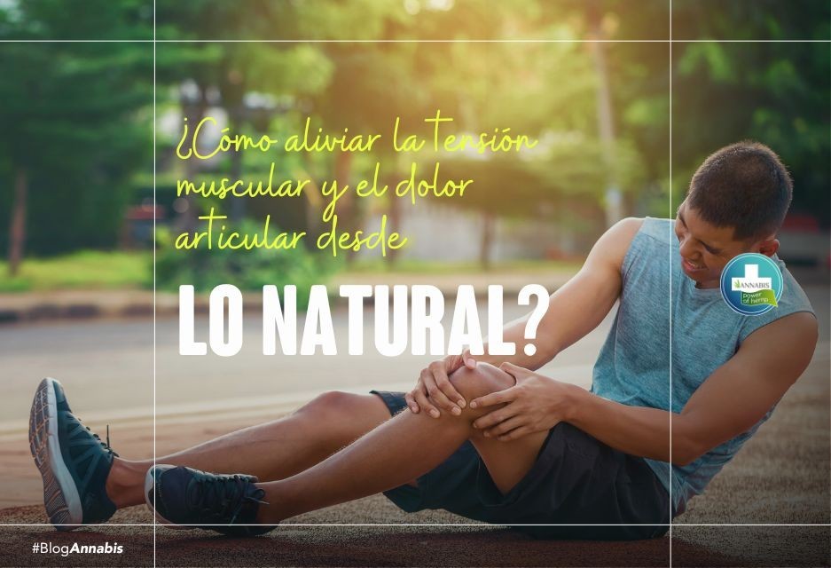 ¿Cómo aliviar la tensión muscular y dolor articular desde lo natural?